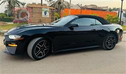 فورد موستانج